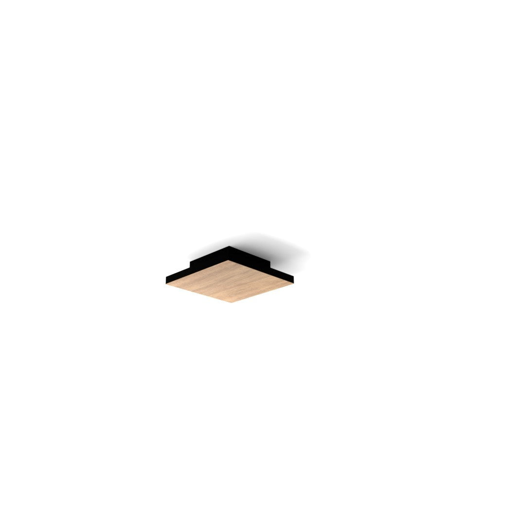 Petit plafonnier dcl Wàssle 22 cm
